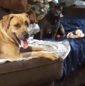 Meet your Posher, Erin